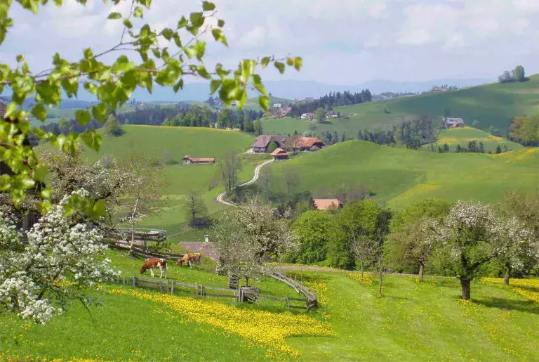 Sicht auf den Betrieb Rötlisberg